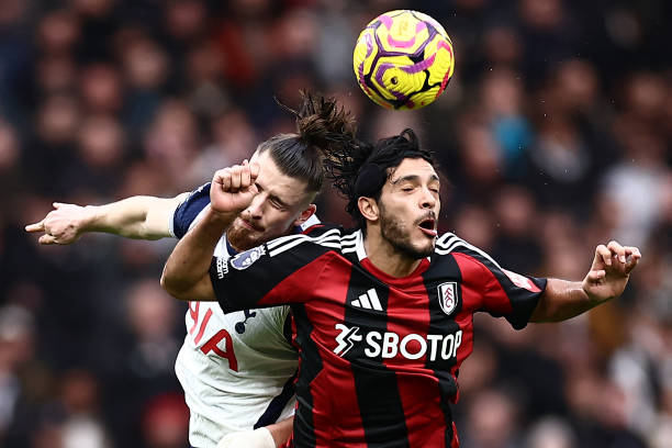 专业的营养 专业的营养