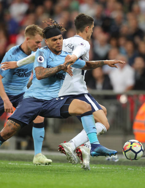 世紅葉林 世紅葉林