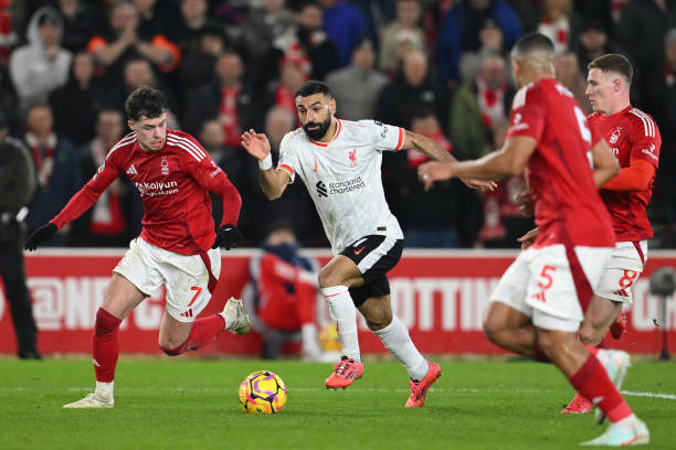 为何珍视莱 为何珍视莱