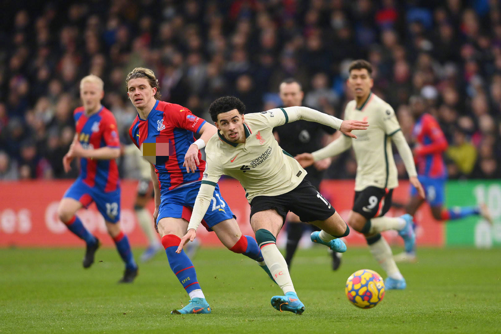 事情的起因 事情的起因